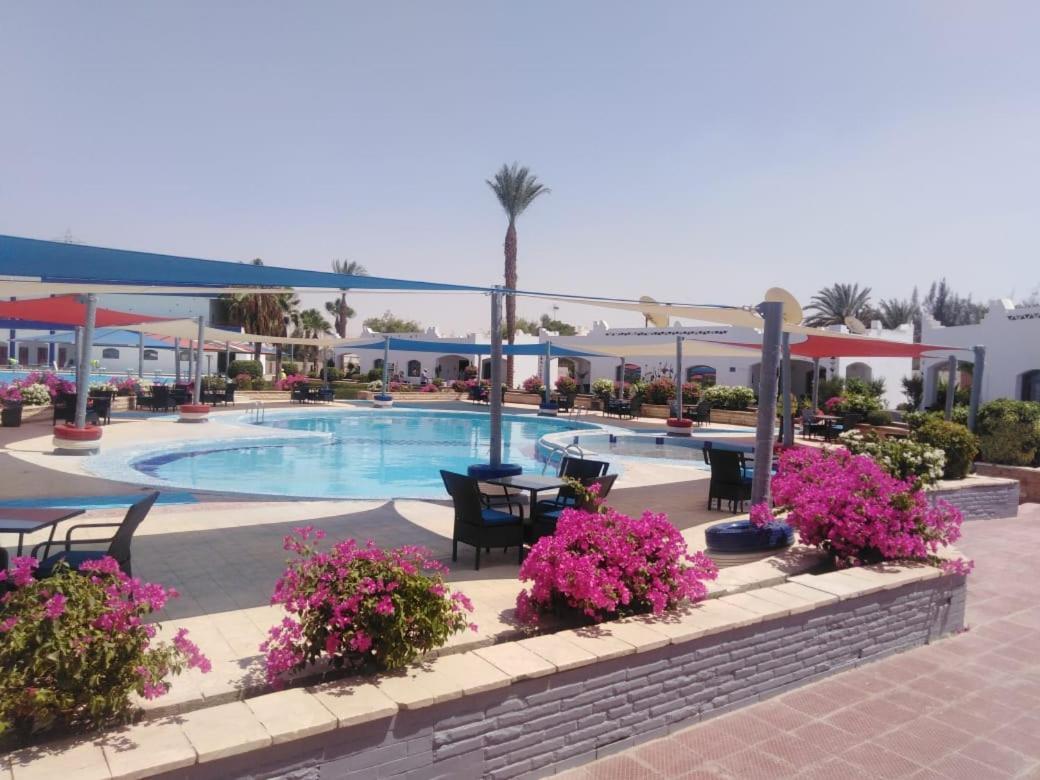 Assiut Cement Hotel المظهر الخارجي الصورة